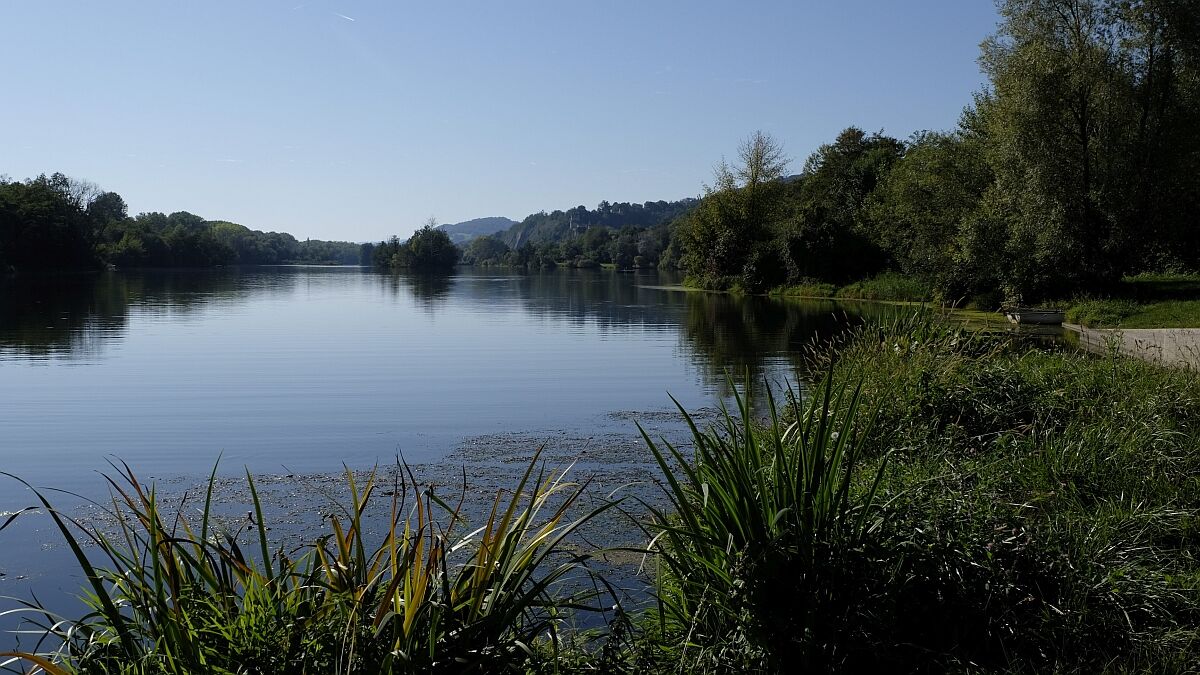 Idylle am Donausee Weitenegg gegenüber Melk · September 2025