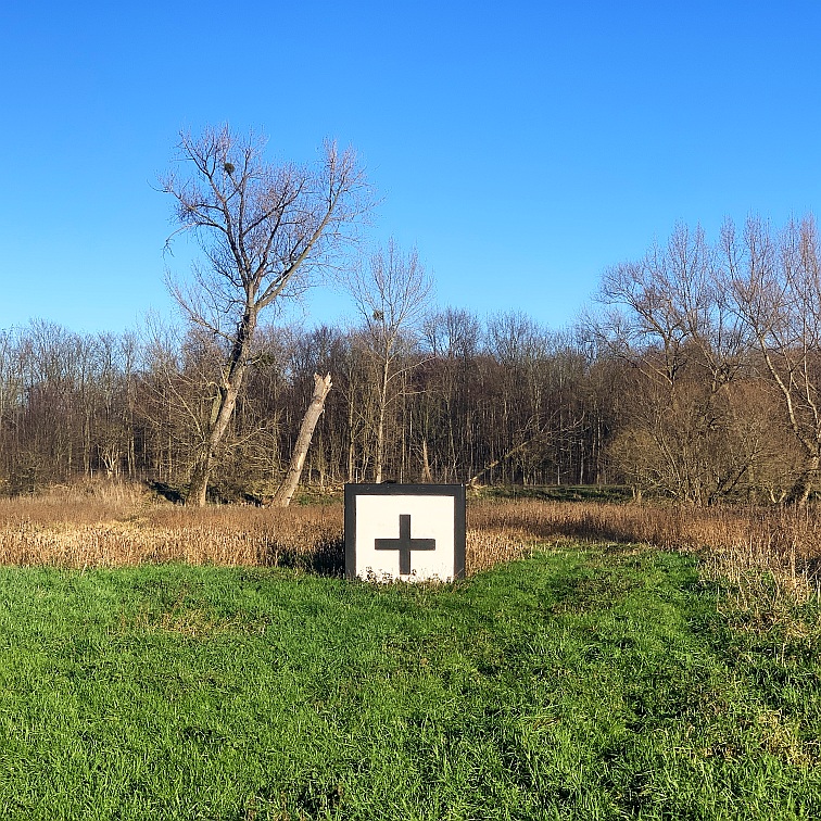 Wintersonne am Rhein · Stromkilometer 718,5 · 28.12.2025