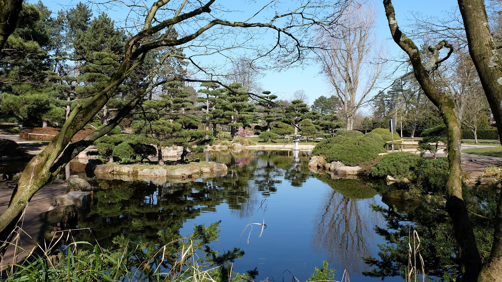 Düsseldorf · Der Japanische Garten am Rhein · März 2022
