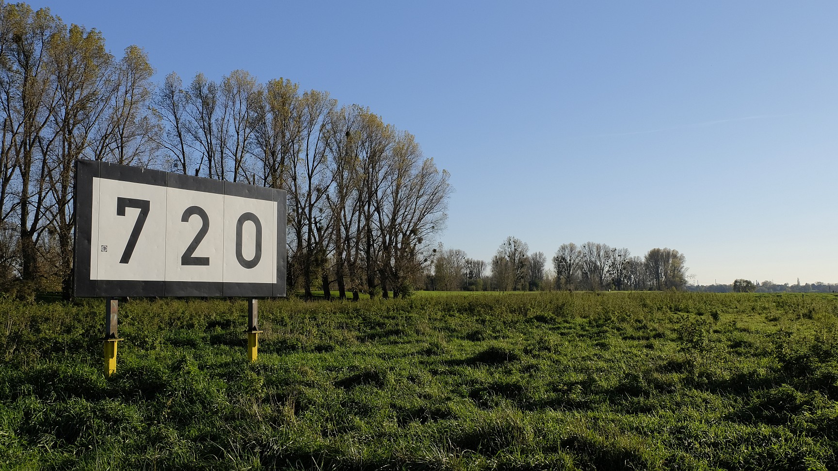 Düsseldorf · am Rhein bei Urdenbach · 3.11.2024