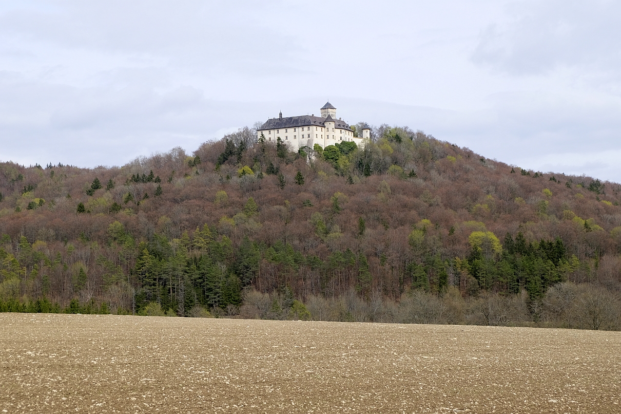 Blick zur Burg Greifenstein bei Heiligenstadt i. OFr.