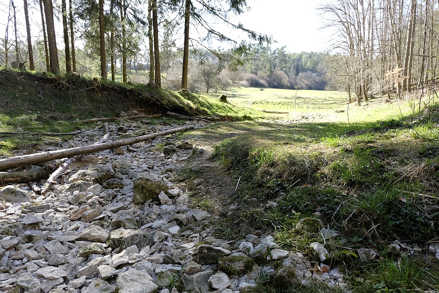 Heiligenstadt/Oberfranken · Trockengefallene Quelle des Großen Tummler