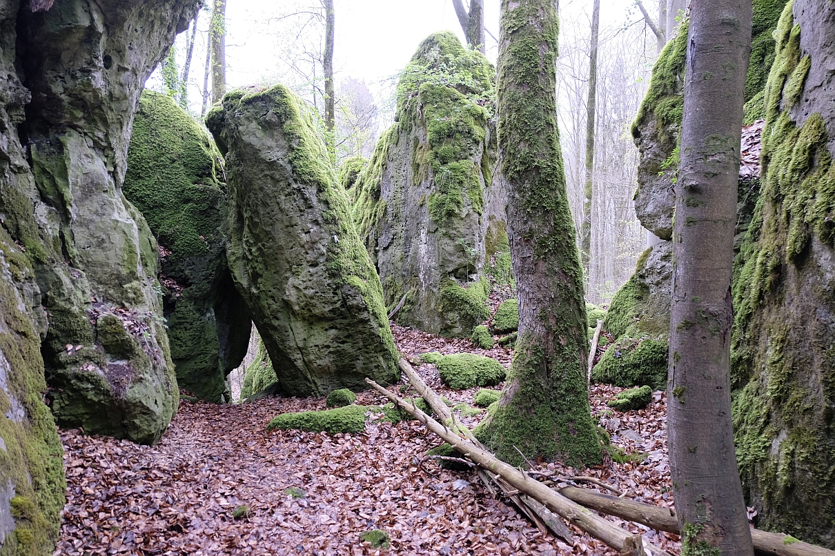 In den Pfarrwaldfelsen auf dem Altenberg bei Heiligenstadt i. OFr.