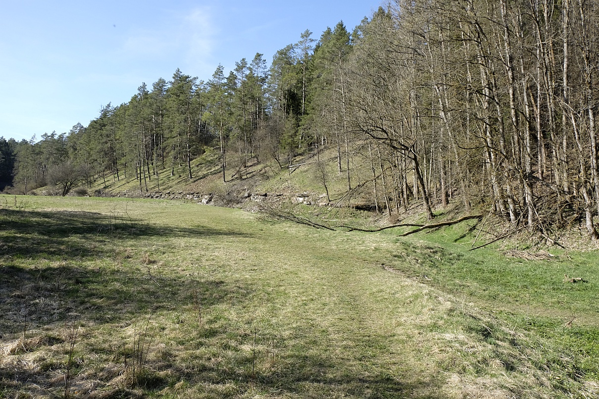Heiligenstadt/Oberfranken · Trockental beim Kleinen und Großen Tummler