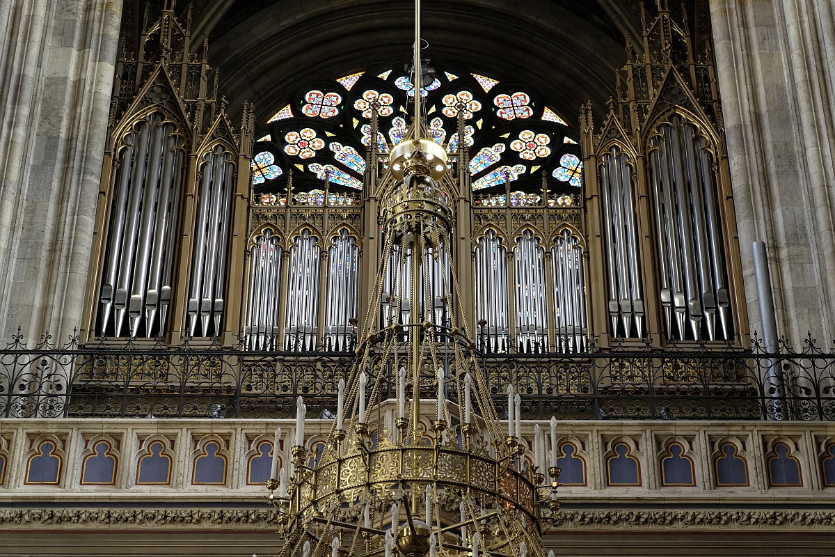 Wien · Votivkirche · September 2025 · Blick zur Orgel